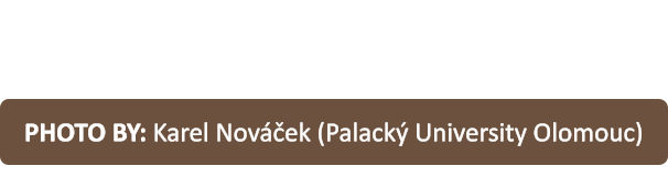 PHOTO BY: Karel Nováček (Palacký University Olomouc)