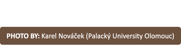 PHOTO BY: Karel Nováček (Palacký University Olomouc)